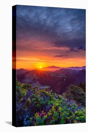 Late Spring Sunrise Magic, Mount Diablo, Lafayette, California, Oakland-Vincent James-Premier Image Canvas