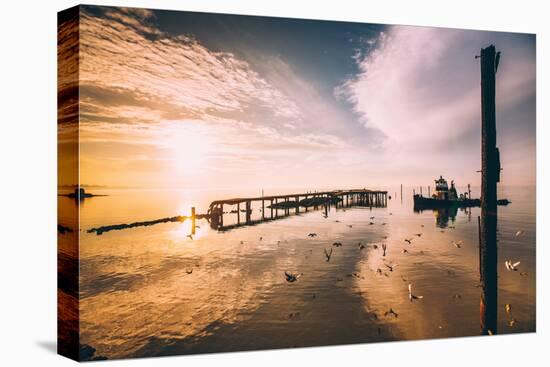 Late Sun, Birds and Polaris, San Pablo Bay-null-Premier Image Canvas