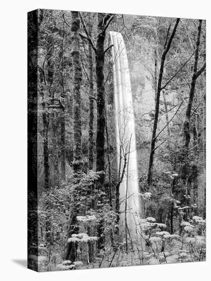 Latourell Falls, Columbia River Gorge National Scenic Area, Oregon, USA-Charles Crust-Premier Image Canvas