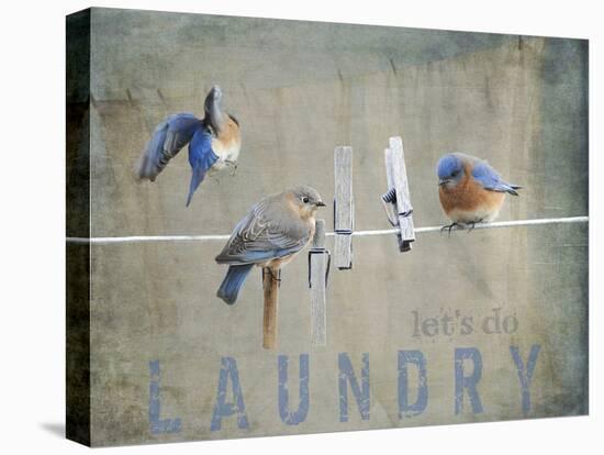 Laundry Day Bluebirds-Jai Johnson-Premier Image Canvas