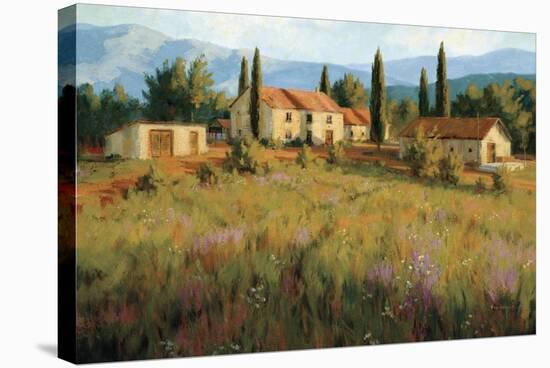 Laundry Day, Tuscany Italy-Roger Williams-Stretched Canvas