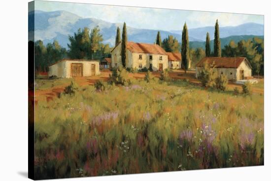 Laundry Day, Tuscany Italy-Roger Williams-Stretched Canvas