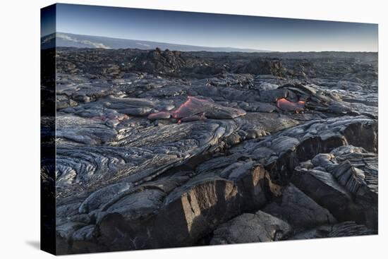 Lava field, Kalapana, Big Island, Hawaii-Maresa Pryor-Premier Image Canvas