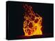 Lava Flow From Kilauea Volcano-Brad Lewis-Premier Image Canvas