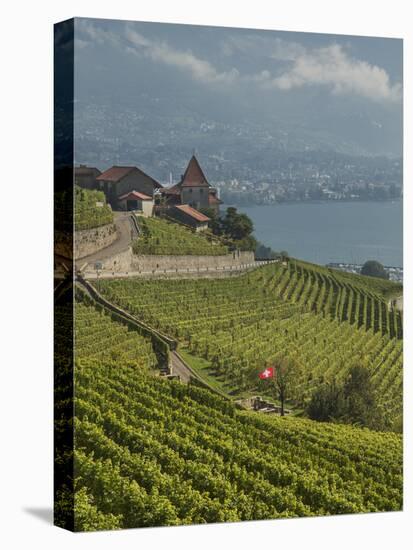 Lavaux Terraced Vineyards on Lake Geneva, Montreux, Canton Vaud, Switzerland, Europe-Angelo Cavalli-Premier Image Canvas