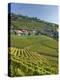 Lavaux Terraced Vineyards on Lake Geneva, Montreux, Canton Vaud, Switzerland, Europe-Angelo Cavalli-Premier Image Canvas