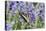 Lavender and Butterfly II-Dana Styber-Premier Image Canvas