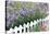 Lavender And Picket Fence-Tony Craddock-Premier Image Canvas