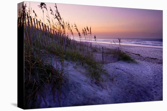 Lavender Beach I-Alan Hausenflock-Premier Image Canvas