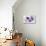 Lavender, Blossoms, Envelope, Four-Leafed Clover, Candles-Andrea Haase-Premier Image Canvas displayed on a wall