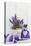 Lavender, Blossoms, Fragrance Sachets, Flowerpot-Andrea Haase-Premier Image Canvas