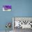 Lavender, Blossoms, Smell, Bottle, Close-Up-Andrea Haase-Premier Image Canvas displayed on a wall