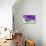 Lavender, Blossoms, Smell, Bottle, Close-Up-Andrea Haase-Premier Image Canvas displayed on a wall