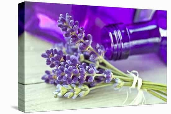 Lavender, Blossoms, Smell, Bottle, Close-Up-Andrea Haase-Premier Image Canvas