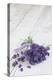 Lavender, Blossoms, Smell, Bunch, Wood-Andrea Haase-Premier Image Canvas