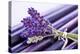 Lavender, Blossoms, Smell, Bunch-Andrea Haase-Premier Image Canvas