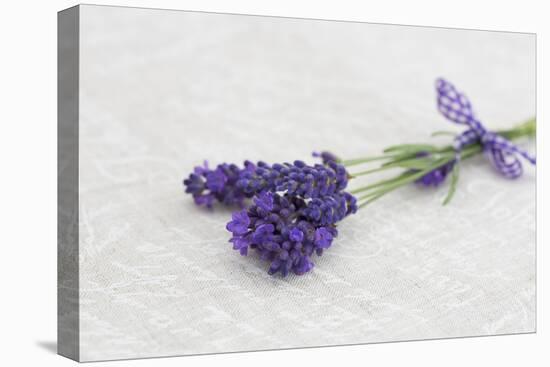 Lavender, Blossoms, Smell, Bunch-Andrea Haase-Premier Image Canvas