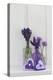 Lavender, Blossoms, Smell, Heart, Chives Blossoms-Andrea Haase-Premier Image Canvas