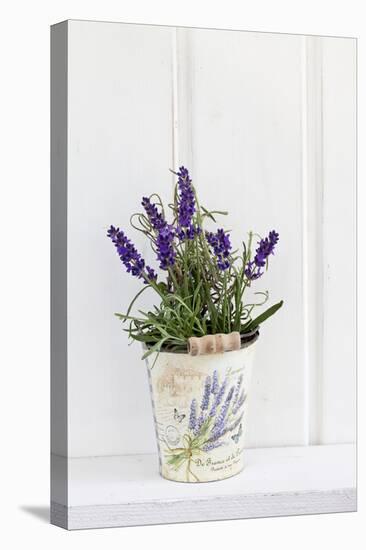 Lavender, Blossoms, Smell, Rivererpot-Andrea Haase-Premier Image Canvas