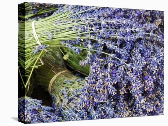 Lavender Bundles for Sale in Roussillon, Sault, Provence, France-Nadia Isakova-Premier Image Canvas