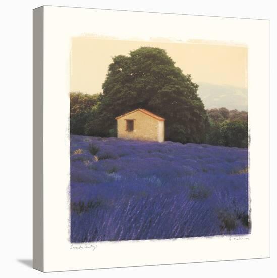 Lavender Country-Amy Melious-Stretched Canvas