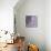 Lavender Dahlia V-Rita Crane-Premier Image Canvas displayed on a wall