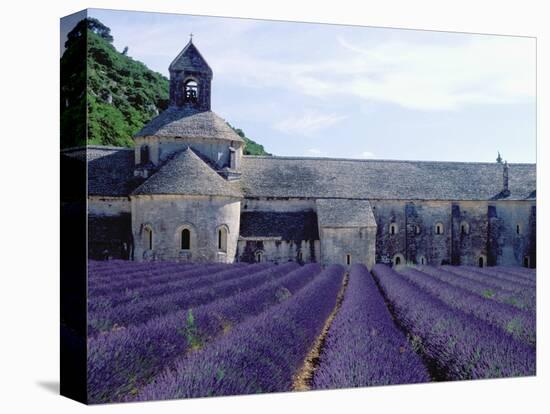 Lavender Field at Abbeye du Senanque-Owen Franken-Premier Image Canvas