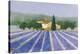 Lavender Field Near St Tropez-Hazel Barker-Stretched Canvas