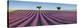 Lavender field, Provence, France-Frank Krahmer-Stretched Canvas