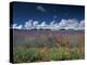 Lavender Field, Provence, France-Gavriel Jecan-Premier Image Canvas