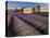 Lavender Field, Provence, France-Gavriel Jecan-Premier Image Canvas