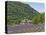 Lavender Fields and Senanque Monastery-David Sailors-Premier Image Canvas