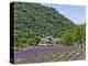 Lavender Fields and Senanque Monastery-David Sailors-Premier Image Canvas