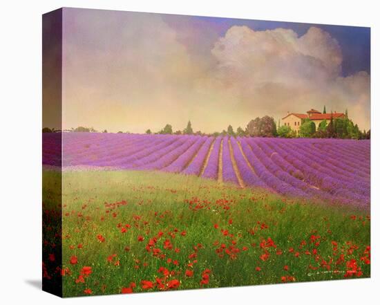 Lavender Fields II-Chris Vest-Stretched Canvas
