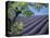 Lavender Fields in France-Owen Franken-Premier Image Canvas