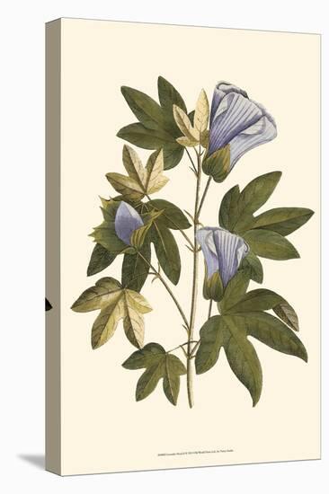 Lavender Floral II-Vision Studio-Stretched Canvas