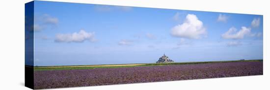 Lavender Flowers in a Field with a Cathedral in the Background, Mont Saint-Michel, Brittany, France-null-Premier Image Canvas
