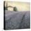 Lavender Hills Detail-James Wiens-Stretched Canvas