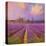 Lavender II-Chris Vest-Stretched Canvas