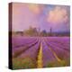 Lavender II-Chris Vest-Stretched Canvas