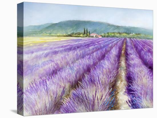 Lavender III-Li Bo-Premier Image Canvas