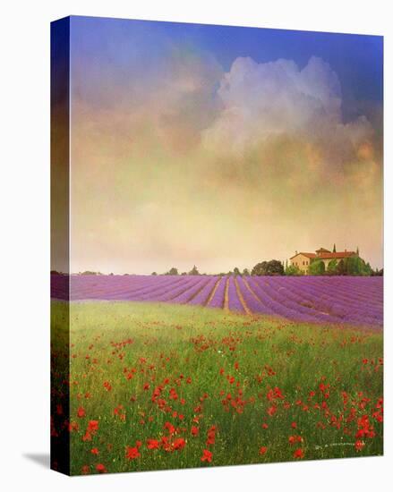 Lavender IV-Chris Vest-Stretched Canvas