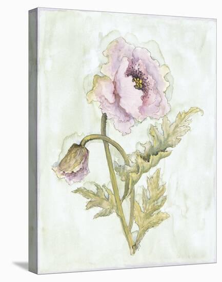 Lavender Poppy ll-Peggy Abrams-Stretched Canvas