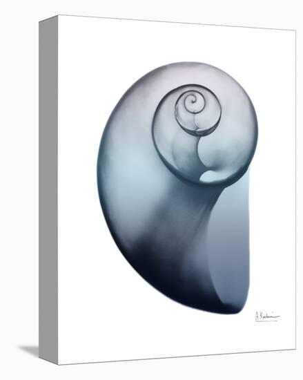 Lavender Snail 2-Albert Koetsier-Stretched Canvas