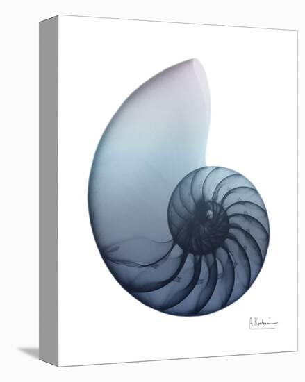 Lavender Snail 4-Albert Koetsier-Stretched Canvas