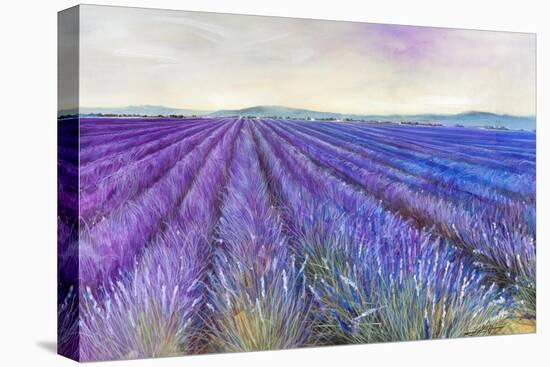 Lavender VI-Li Bo-Premier Image Canvas