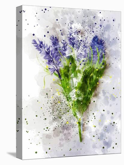 Lavender-Chamira Young-Stretched Canvas