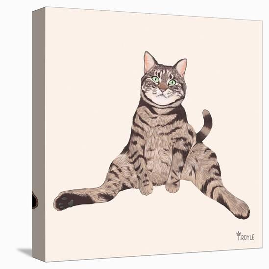 Lazy Sunday Cat IV-Tara Royle-Stretched Canvas