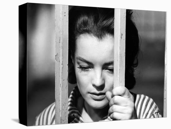 Le Cardinal THE CARDINAL by Otto Preminger with Romy Schneider, 1963 (b/w photo)-null-Stretched Canvas