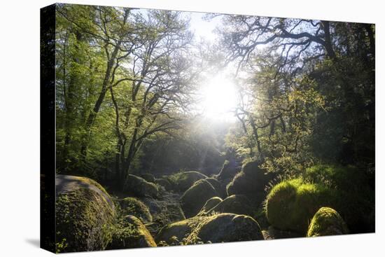 Le Chaos De Huelgoat En Breatgne-Philippe Manguin-Premier Image Canvas